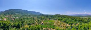 Vineyard Paradise House Pitve - Pitve - 4