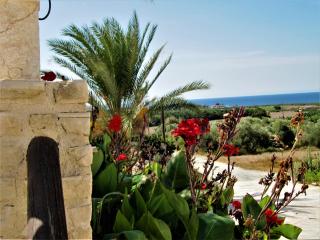 Villa Dioni - Coral Bay - 6