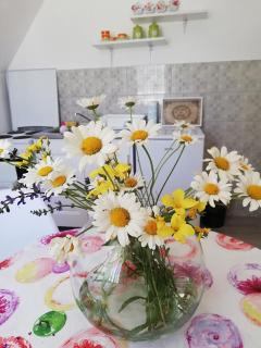 Apartman Natalija - Žabljak - 6