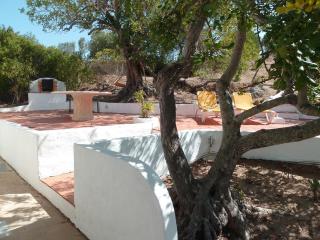 Algarve booking Casa Alfarrobeira Benagil Caves private parking airco heated private pool - AL - 4