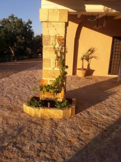 Masseria Mattiani - Campi Salentina - 2