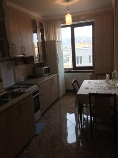 Vip Apartment at Gamrekeli str 1 - Tbilisi - 9
