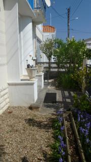 Pluie de roses - Royan - 8