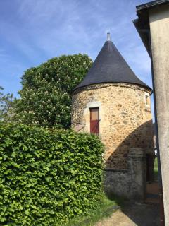 Logis de la Helberdière - Cossé-en-Champagne - 9