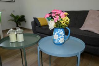 Paradise in haifa near the bahai gardens - 7