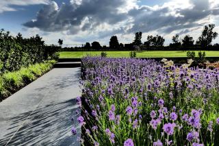 Bed & Bets! - Geetbets - 6