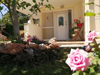 Swan's garden olympus luxury apartment - Litochoro - 0