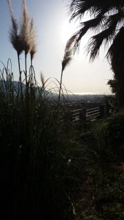 Villa Giannì - Palermo - 7