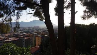 Villa Giannì - Palermo - 9