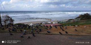 Hotel Apartment Short Term Tel Aviv Bat Yam 5 - Bat Yam - 7