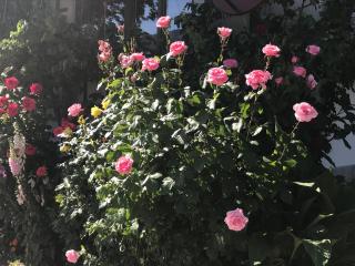 Haus Katharina - Wagrain - 5