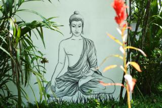 Nettle Trees Farm Stay - 2