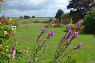 Two Hoots Bed and Breakfast - 1