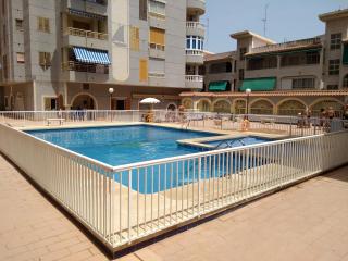 Apartamento Flamenco - Torrevieja - 8