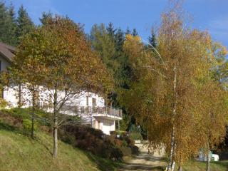 Gasthof-Pension Kleinhenner - Vorderwölch - 2