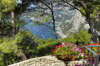 Amore Rentals - Villa Polifemo - Capri - 2