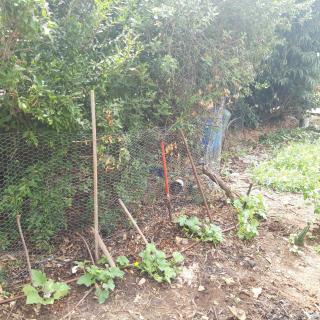 Quiet and beautiful bungalow near to old Jaffa City - Mishmar HaShiv‘a - 2