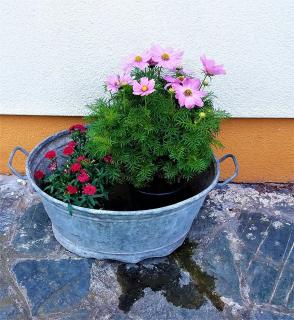 Haus Taekema Appartments - 1