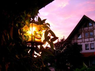 Fritz'es Goldener Stern - Schauenburg - 5