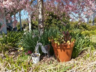 Cradle at Casa Blanca Country Retreat - 3