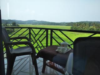 Paddyfield Inn - Mananthavady - 3
