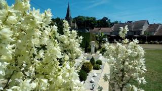 Le Domaine des Papillons - Beaujeu-Saint-Vallier-et-Pierrejux - 1