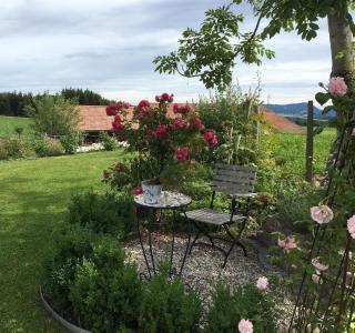 Ferienhof Am Holderbusch - Füssen - 9