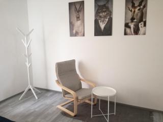 APPART SOMA - Frauenkirchen - 3