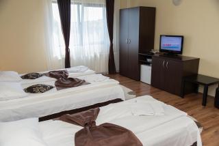 Pensiunea Casa cu Flori - Cisnădioara - 1
