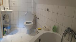 Tajemniczy Ogród - Sztutowo - 7