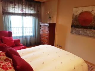 Pontevedra Luxury Apartment - Pontevedra - 2