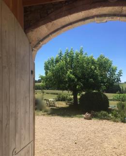 Les Foucauds - Saint-Quentin-de-Caplong - 6