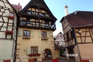 Duplex Saint Lustre, view over castle and storks, 5 mn from Colmar - Eguisheim - 1