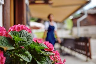Hotel Alphorn - Gstaad - 7