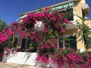 Casa Buganvilla - Minia - 0