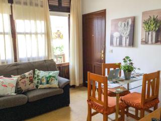 Casa PALMAROSA - Santa Cruz de la Palma - 0