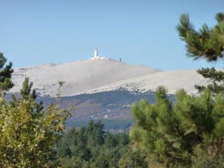 Le Jas de Verdolier - Sault - 1