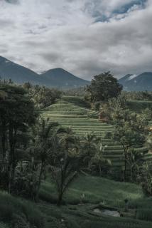 Saridevi Ecolodge - 6
