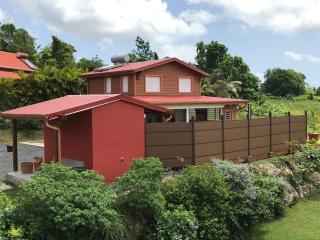 Villa neuve de standing en bois avec piscine - Sainte-Anne - 9