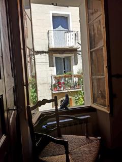 La Maison Provençale - La Roquebrussanne - 7