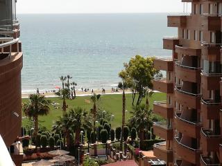 1ª Linea Playa Deluxe Costa Marina - 0