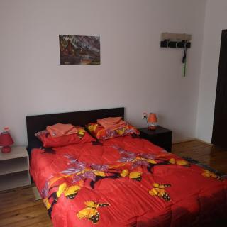 VILA BOJANA - 6