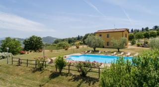 Agriturismo Tenuta Di Biscina - Biscina - 7