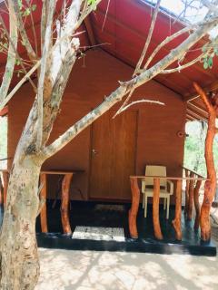 Rivosen Camp Yala Safari - Yala - 6