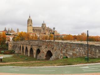 Apartamento puente romano P2 1G - Salamanca - 4