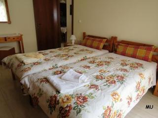 Holiday Dream Thalia Apartment - Mastihari - 6