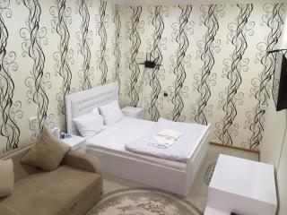 Hotel Triumph - Ninotsminda - 8
