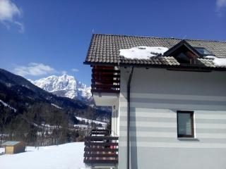 JULIJA 3 SUNNY APPARTMENT - Kranjska Gora - 2