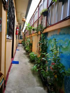 Jimmy and Jeng Homestay - Chiang Mai - 2