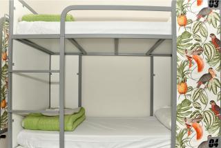 Cats Hostel Madrid Sol - 1